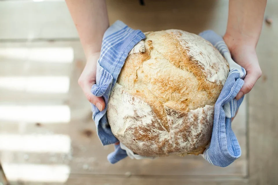 Birdview - two hands holding bread loaf in blue towel - best artisan bread mixes by BREADISTA