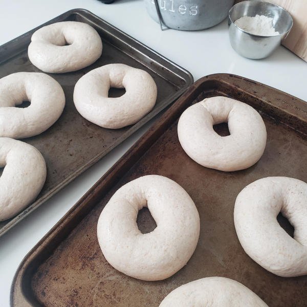 Bagels shaped on 2 sheets risen - by BREADISTA