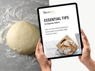 eGuide - 'Essential Tips' on Tablet for Newsletter Signup - BREADISTA