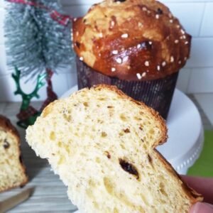close up crumbshot: slice of fresh Panettone. Background: baked domed Panettone loaf in brown paper baking mold - BREADISTA's bread mix