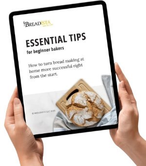Newsletter SignUp graphic - two female hands holding a tablet with screen showing the title of eGuide - BREADISTA